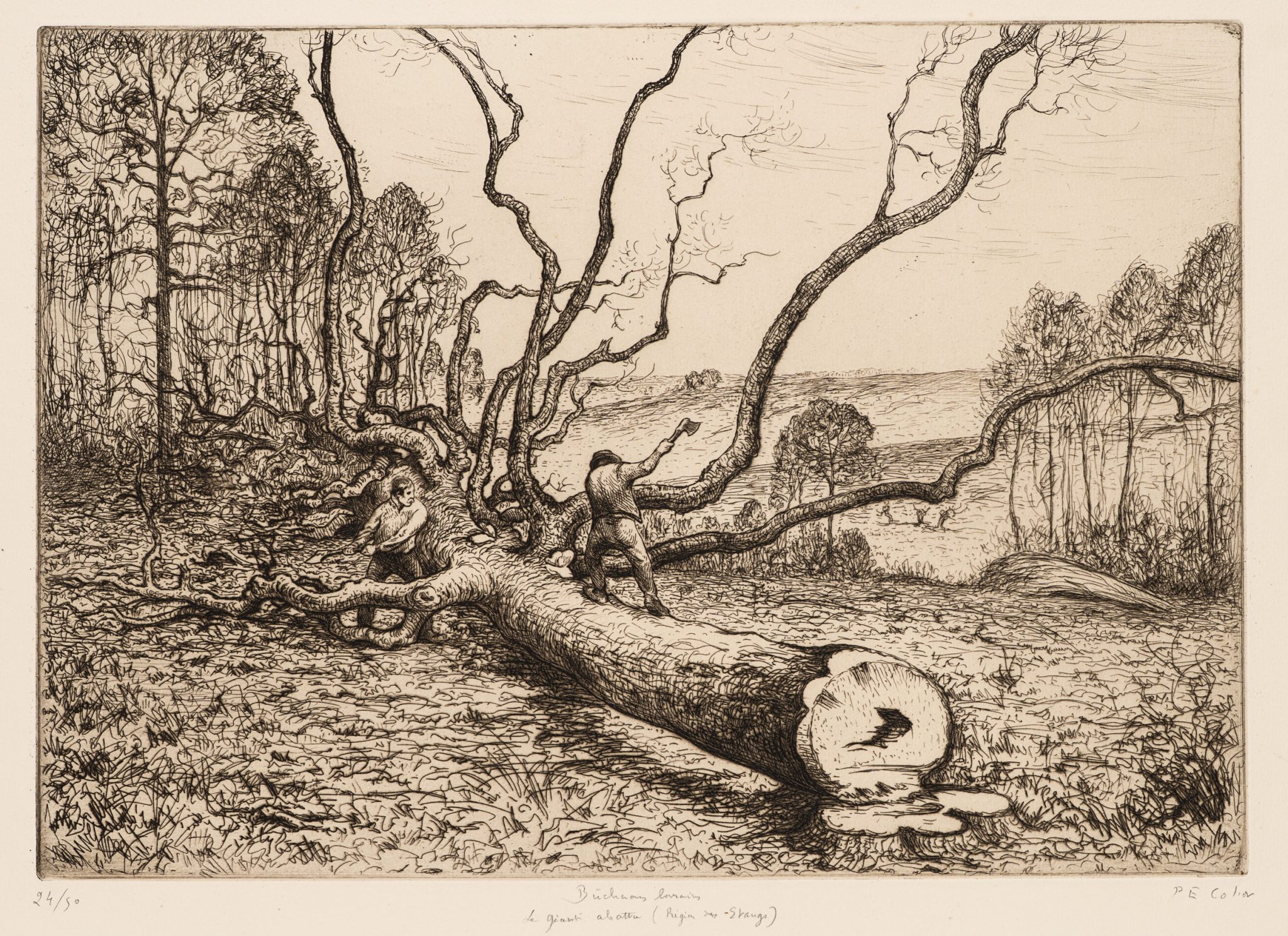 Holzfäller im Wald