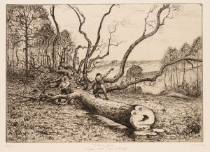 Holzfäller im Wald