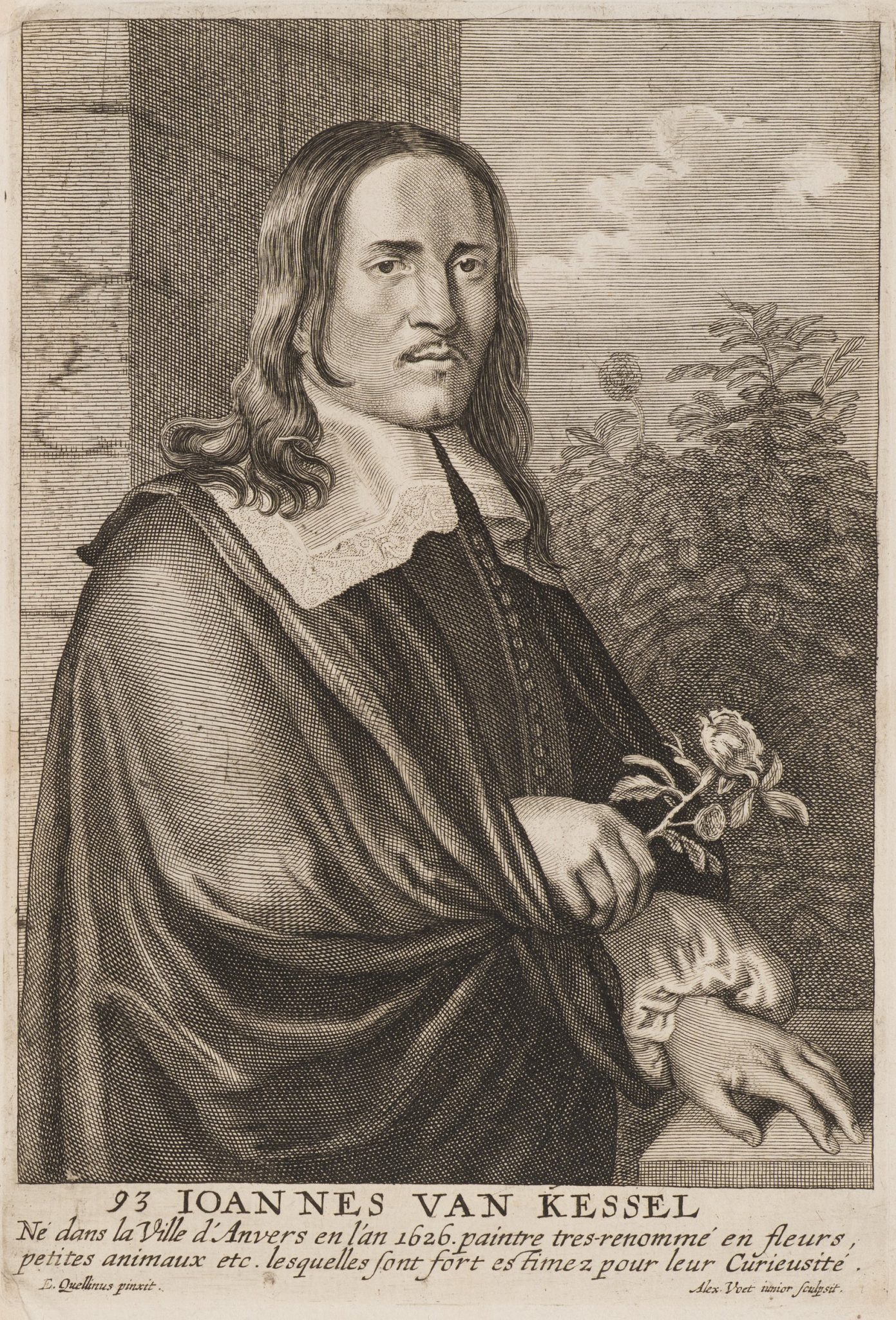 Porträt des Künstlers Jan van Kessel