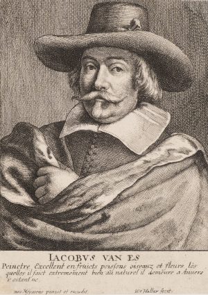 Porträt des Malers Jacob van Es