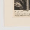 Ansicht 5