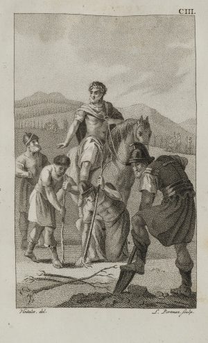 Probus lässt Weinberge anlegen