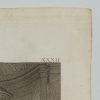 Ansicht 4